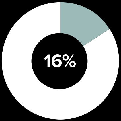 pie chart represents 16%