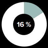 Diagramme circulaire qui montre une portion de 16 %